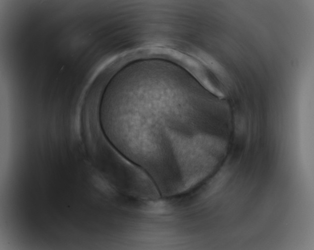 X0000092071230200710031112