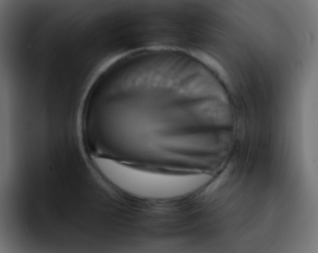 X0000092071231200710031112