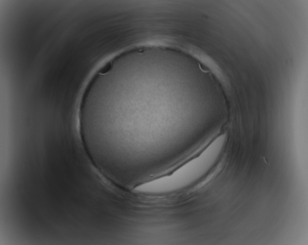 X0000092071232200710031112