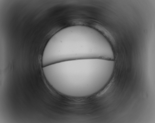 X0000092071233200710031113