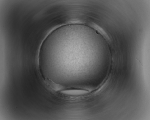 X0000092071236200710031113