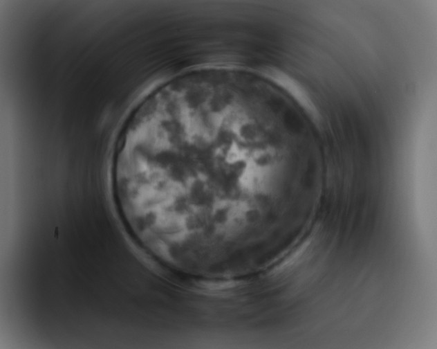 X0000092071237200710031113