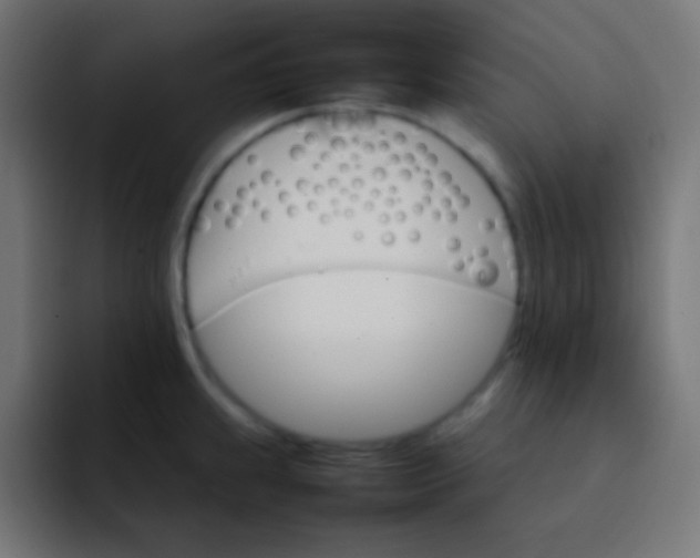 X0000092071239200710031113