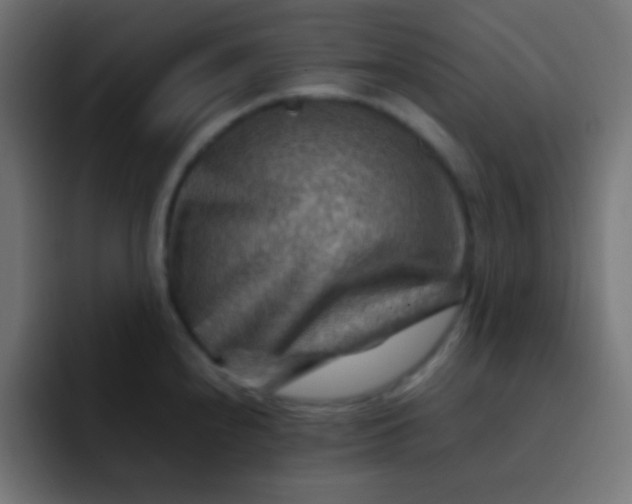 X0000092071240200710031113