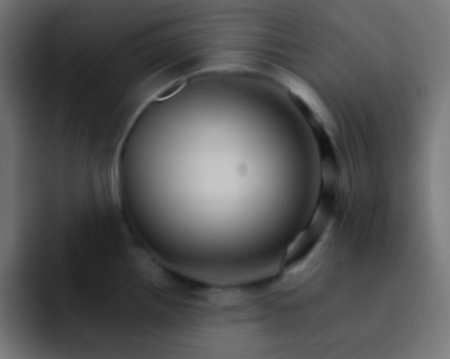 X0000092071242200710031113