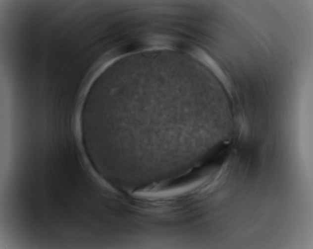 X0000092071243200710031113