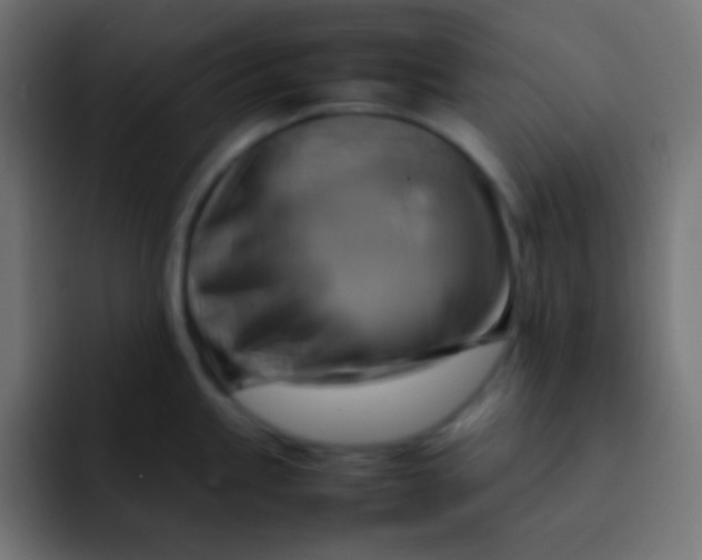 X0000092071245200710031113