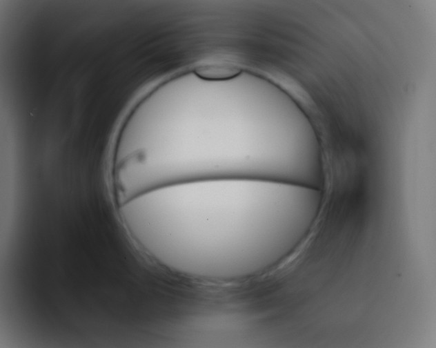 X0000092071248200710031113