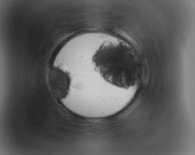 X0000092071259200710031112