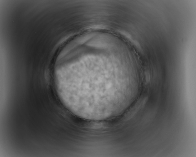 X0000092071266200710031112
