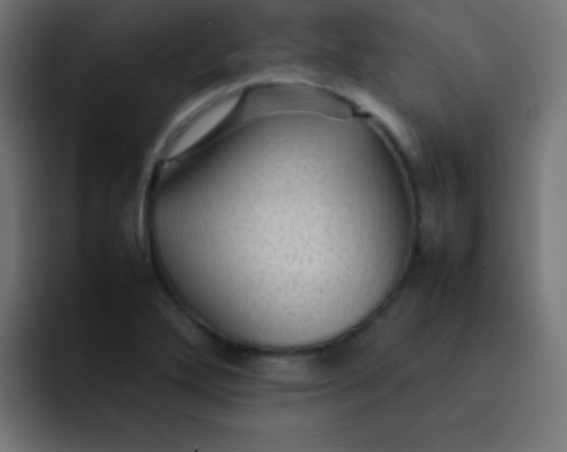 X0000092071272200710031112