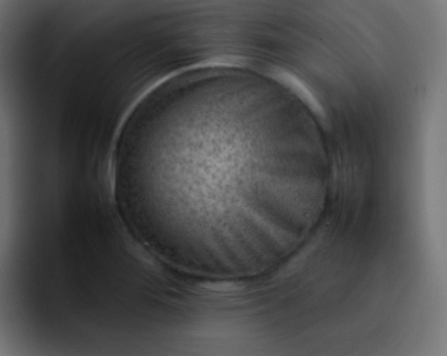 X0000092071276200710031112