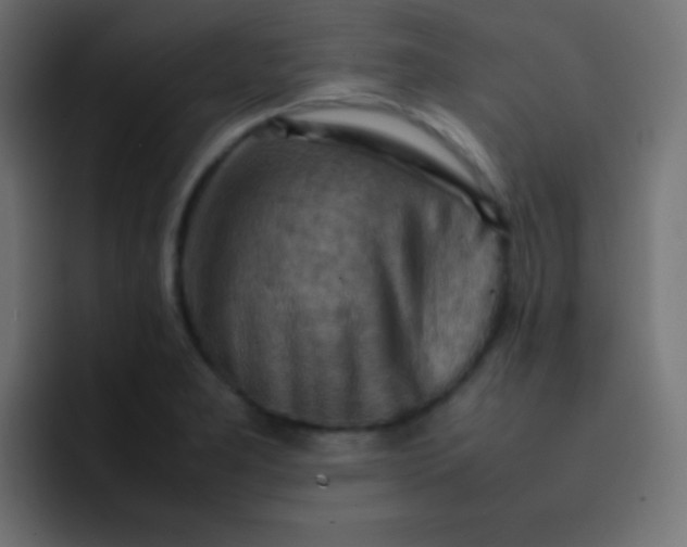 X0000092071277200710031112