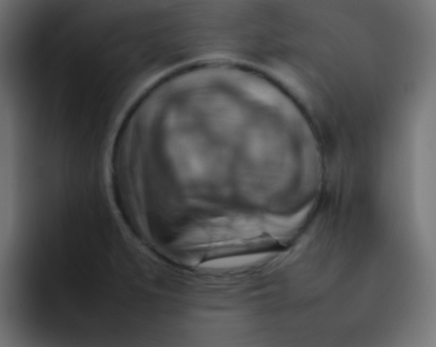 X0000092071279200710031112