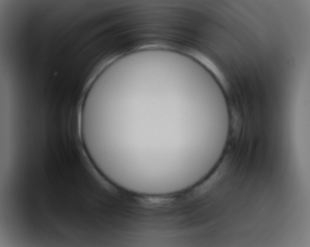 X0000092071290200710031112