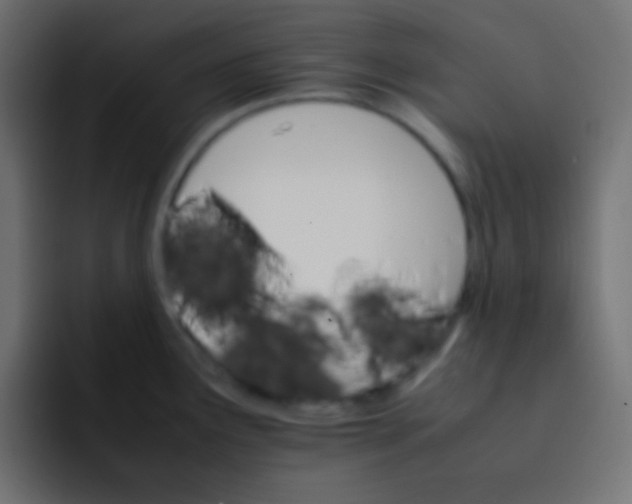 X0000092071291200710031112