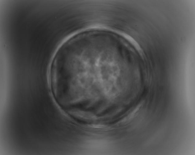 X0000092071295200710031112