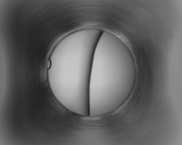 X0000092071296200710031112
