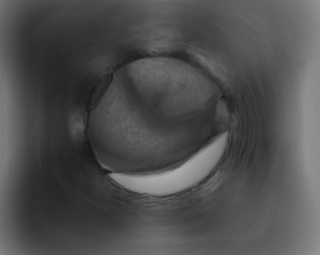 X0000092071300200710031111