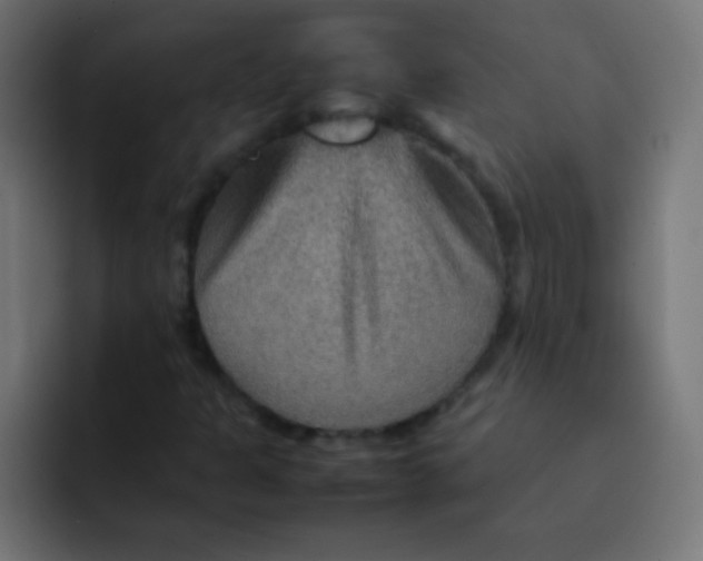 X0000092071301200710031111