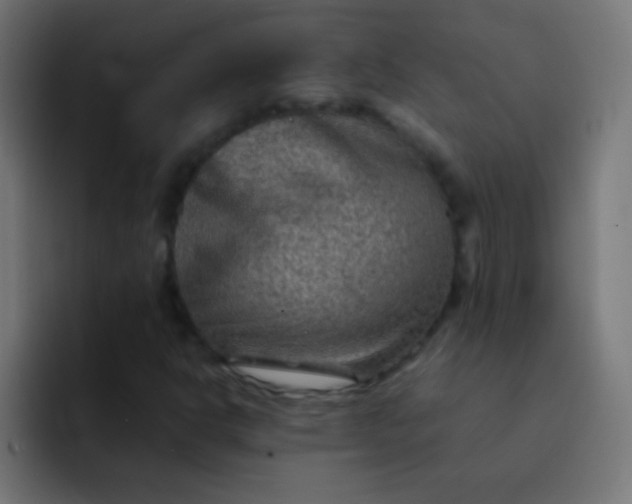 X0000092071302200710031111