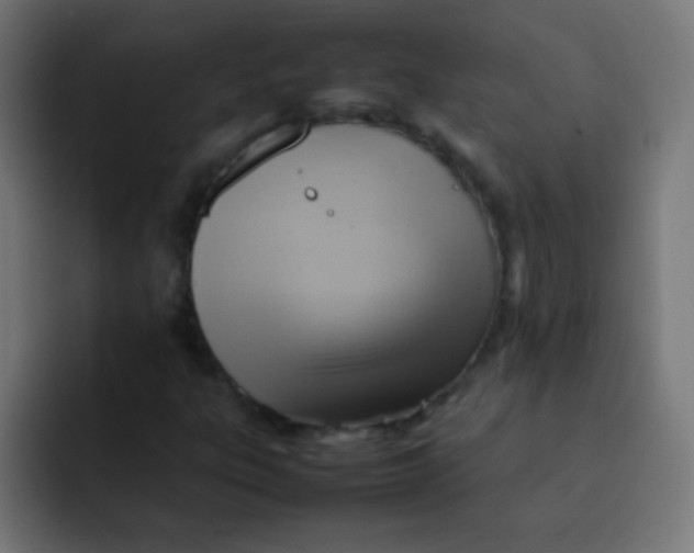 X0000092071303200710031111