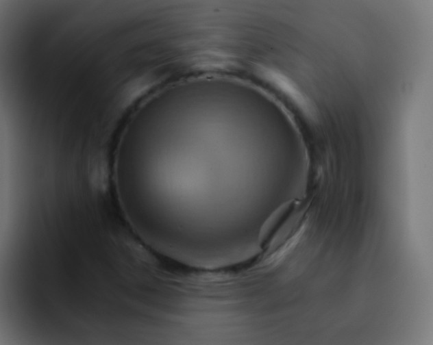 X0000092071306200710031111