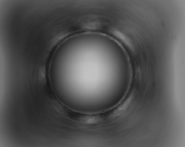 X0000092071307200710031111