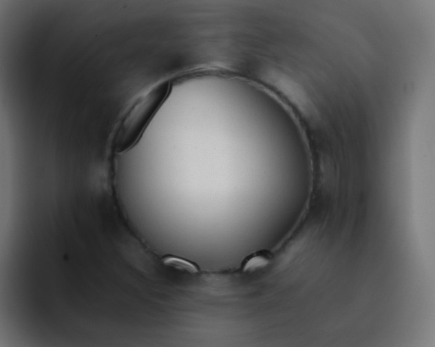 X0000092071308200710031111