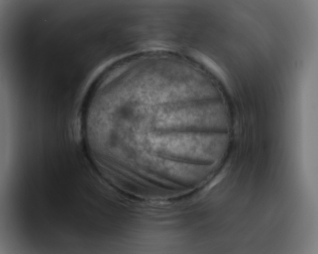 X0000092071310200710031111