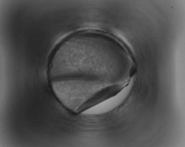 X0000092071312200710031111