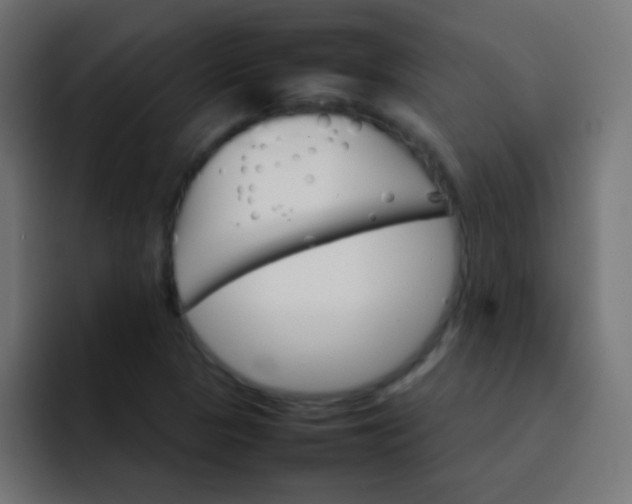 X0000092071313200710031111