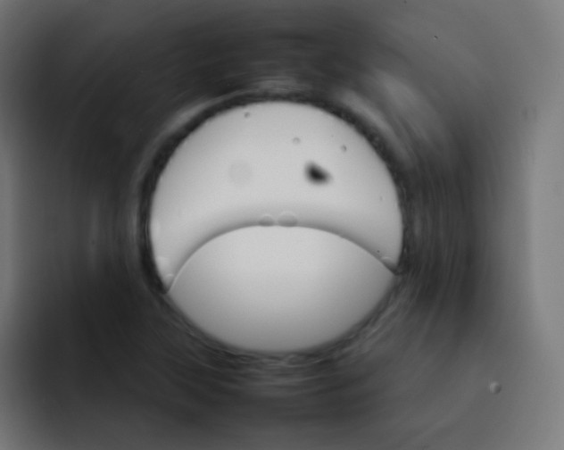 X0000092071315200710031111