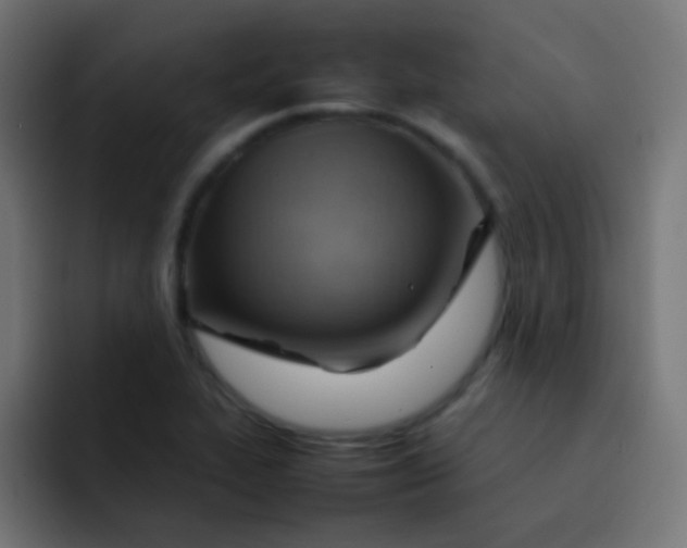 X0000092071319200710031111