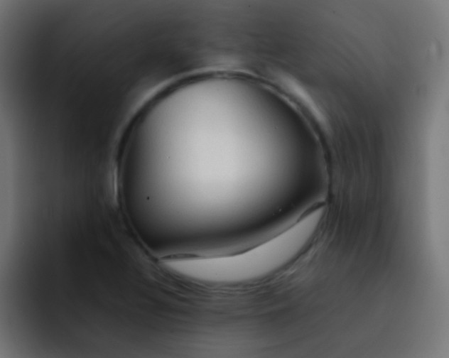 X0000092071320200710031111
