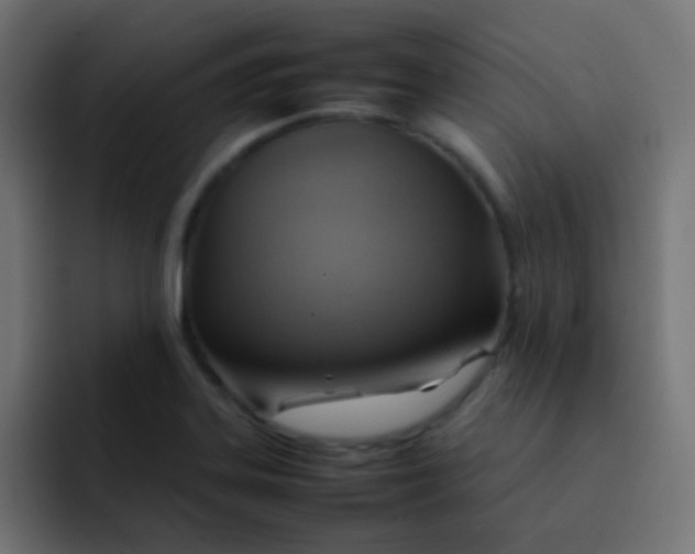 X0000092071323200710031111