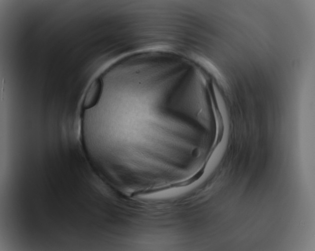 X0000092071324200710031111
