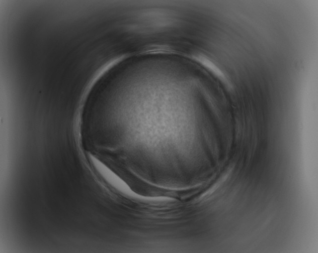 X0000092071325200710031111