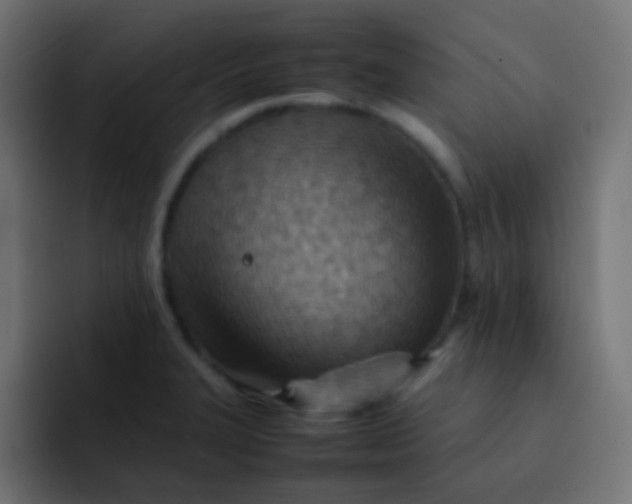 X0000092071327200710031111