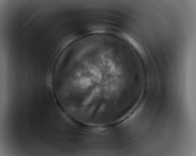 X0000092071329200710031111