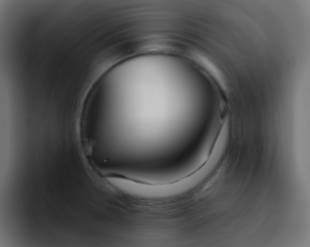 X0000092071330200710031111