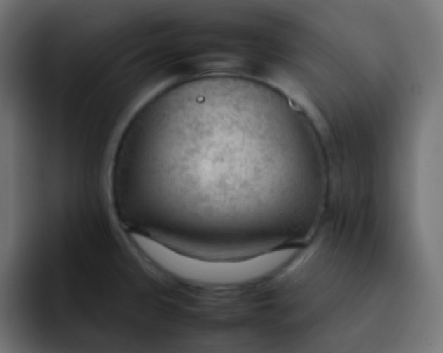X0000092071333200710031111