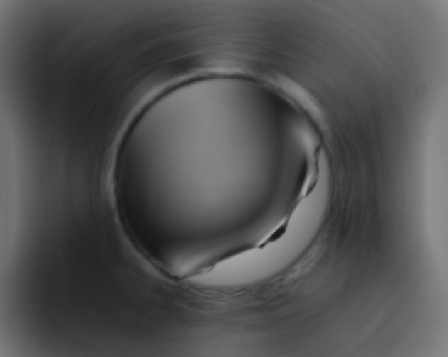 X0000092071334200710031111