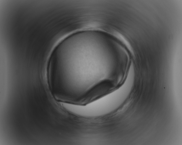 X0000092071336200710031111