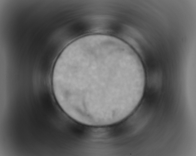 X0000092071338200710031111