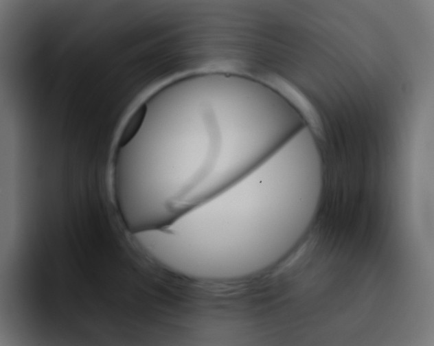 X0000092071340200710031112
