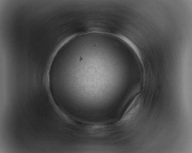 X0000092071341200710031112