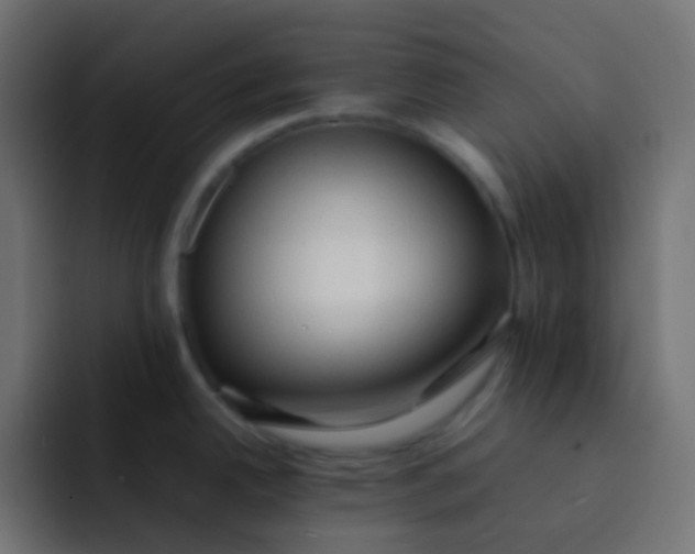 X0000092071342200710031112