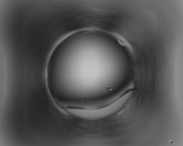 X0000092071343200710031112
