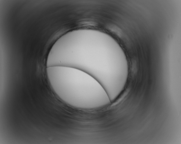 X0000092071354200710031111